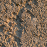 découvrez notre guide complet pour peindre du béton extérieur, avec des conseils pratiques et le choix des meilleures peintures pour protéger et embellir vos surfaces en béton.