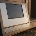 découvrez notre sélection 2026 des meilleures portes poulailler solaires automatiques, alliant innovation et praticité pour faciliter la protection de vos poules.
